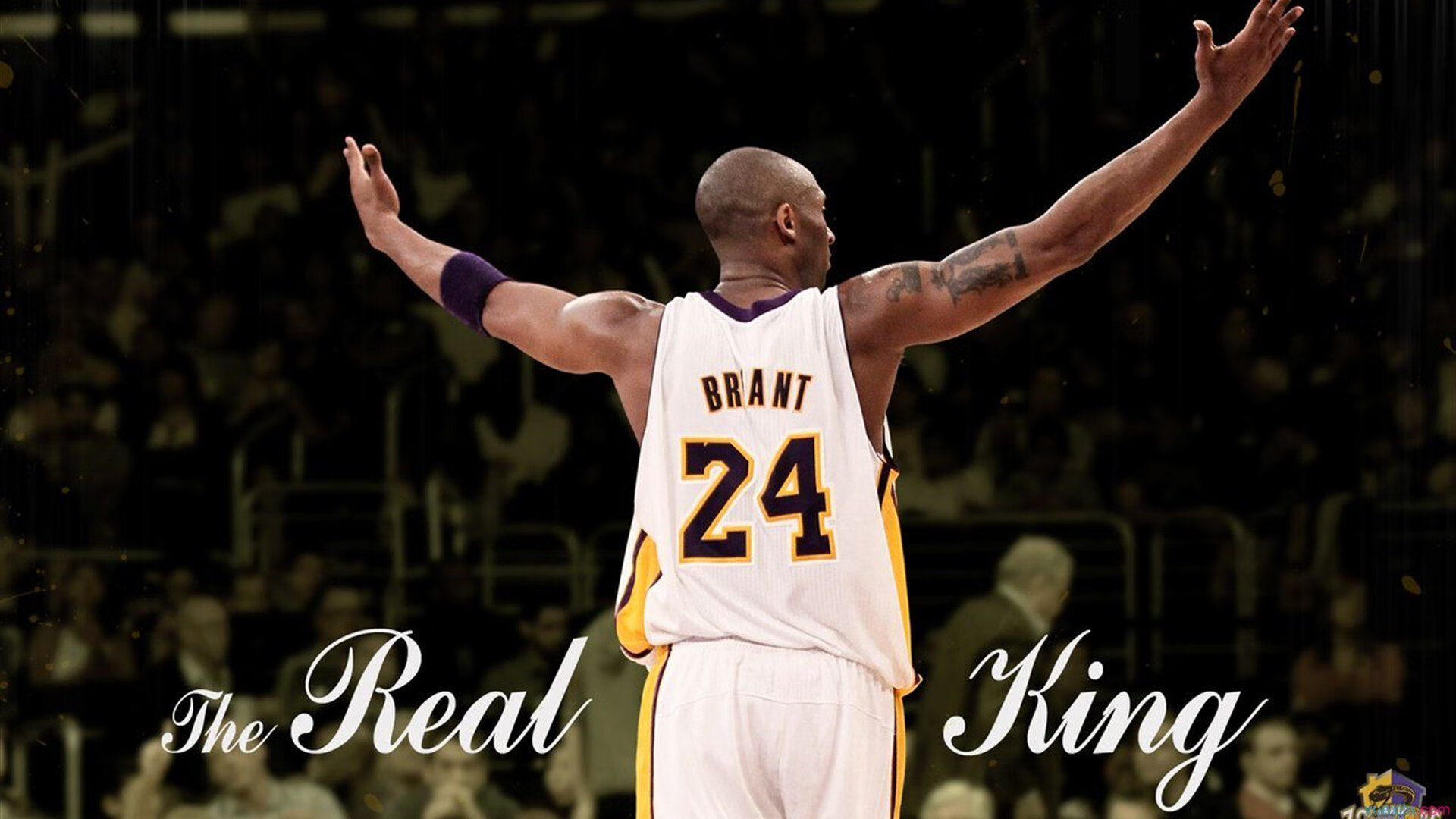 高校电竞联盟正式成立，推动校园电竞发展，高校电竞联赛